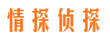 千阳外遇出轨调查取证